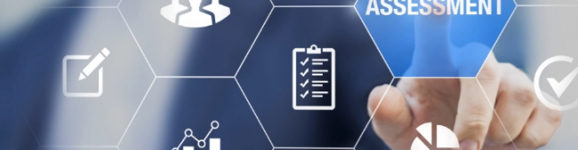 IT Assessment and Planning Services