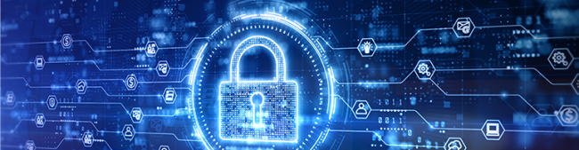 Network Security Services